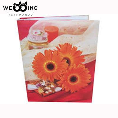 Natraj Memo Screw Type 300 Pocket 4 X 6 inch Album