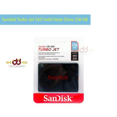 Sandisk Turbo Jet SSD Solid State Drive 256 GB Price
